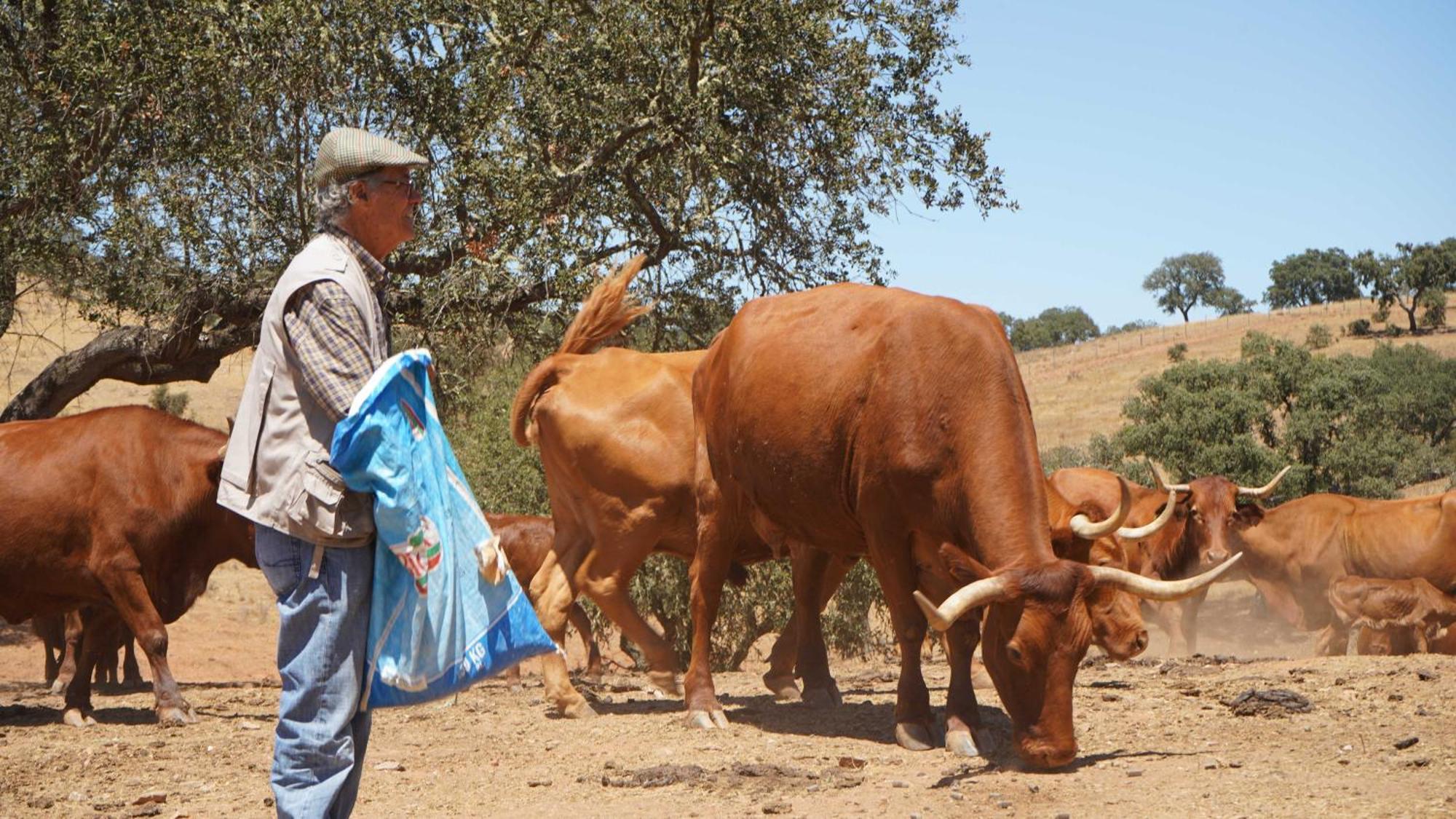 Agroturismo Xistos Cerca Ngoại thất bức ảnh